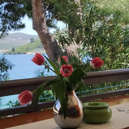 Holiday Home Milenka Rogoznica  Exterior foto